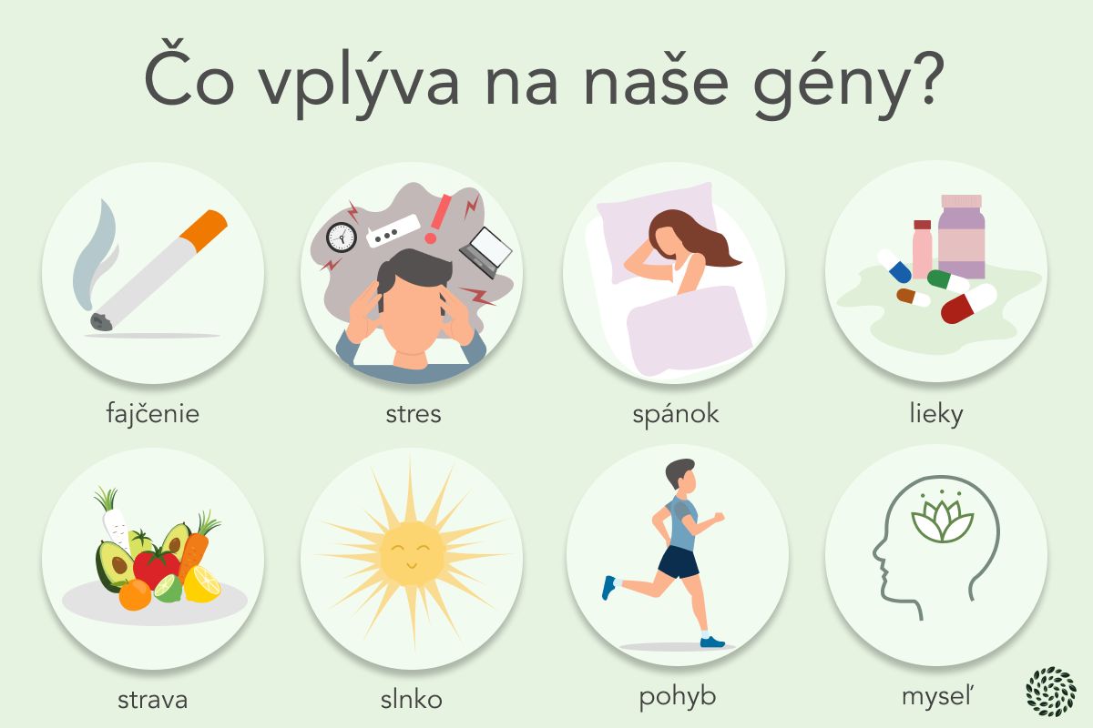 čo vplýva na naše gény - infografika 